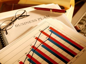 BUSINESS PLAN development for BUSINESS IN RUSSIA
