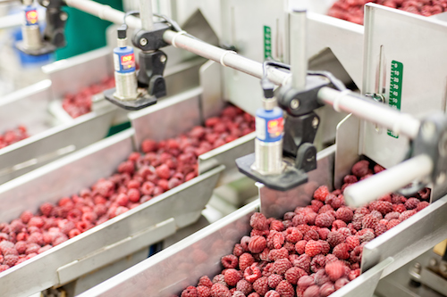 food processing trends 2015