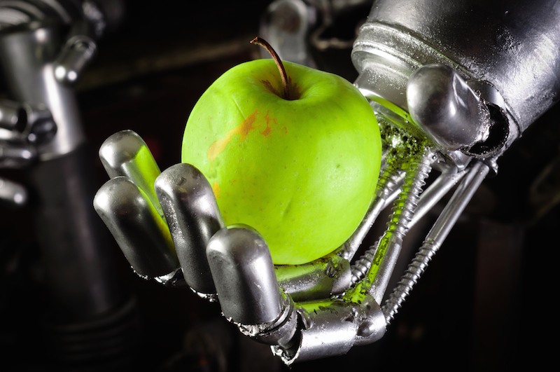 5 best practices for using robotics in your food processing plant
