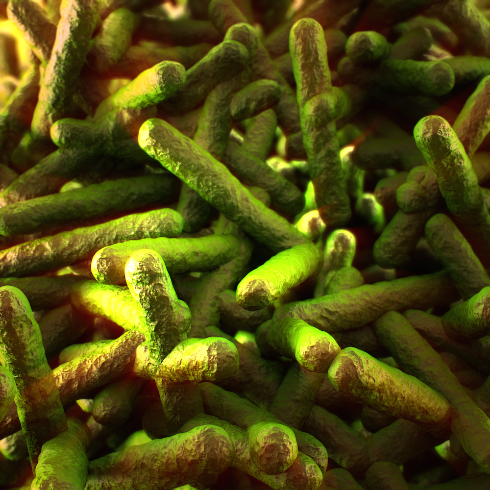 Is Your Food Processing Plant Safe From Listeria?
